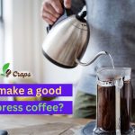 How to make a good French press coffee?