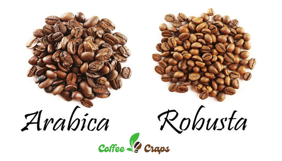 Arabica vs. Robusta