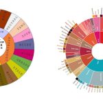 Guide to the Coffee Taster's Flavor Wheel