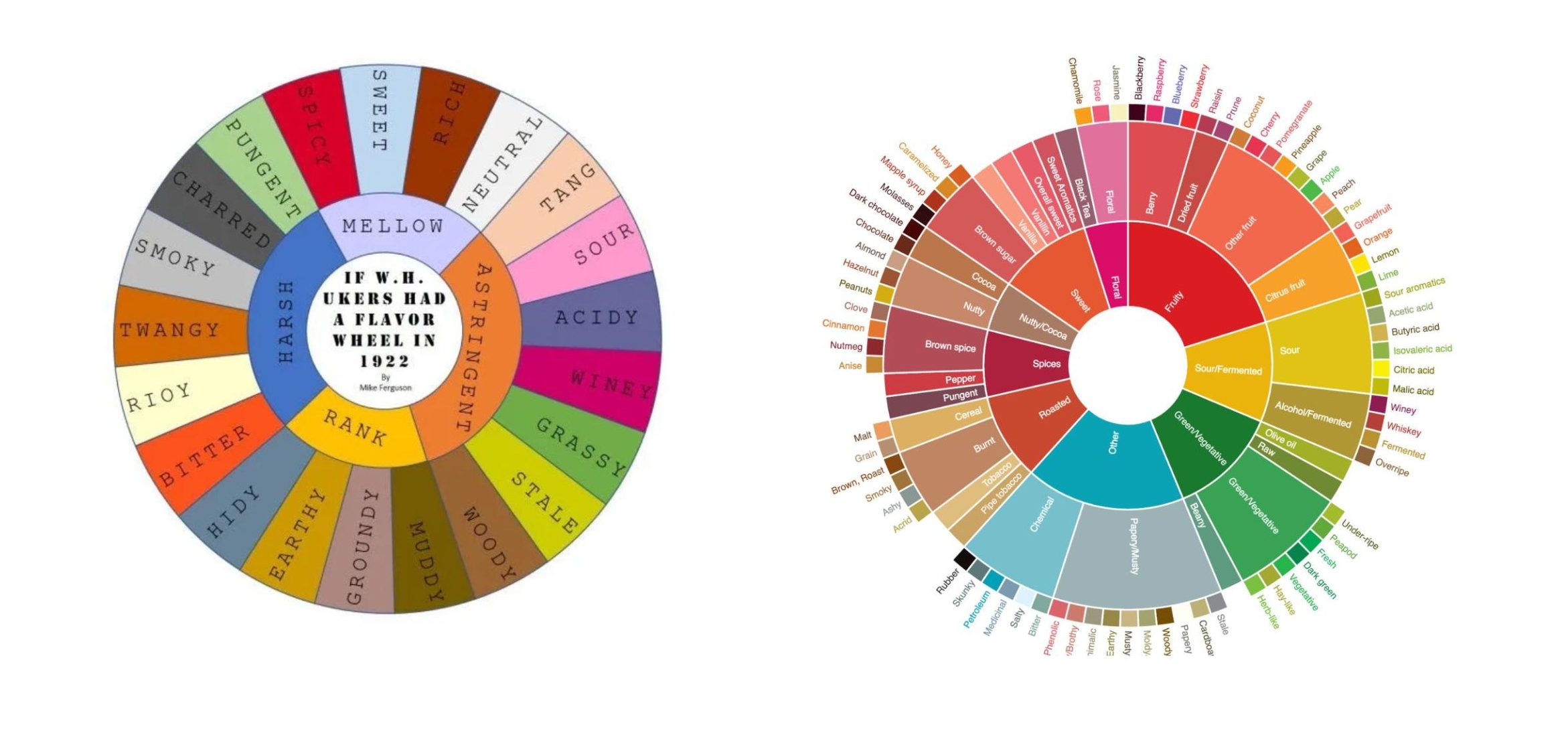 Guide to the Coffee Taster's Flavor Wheel