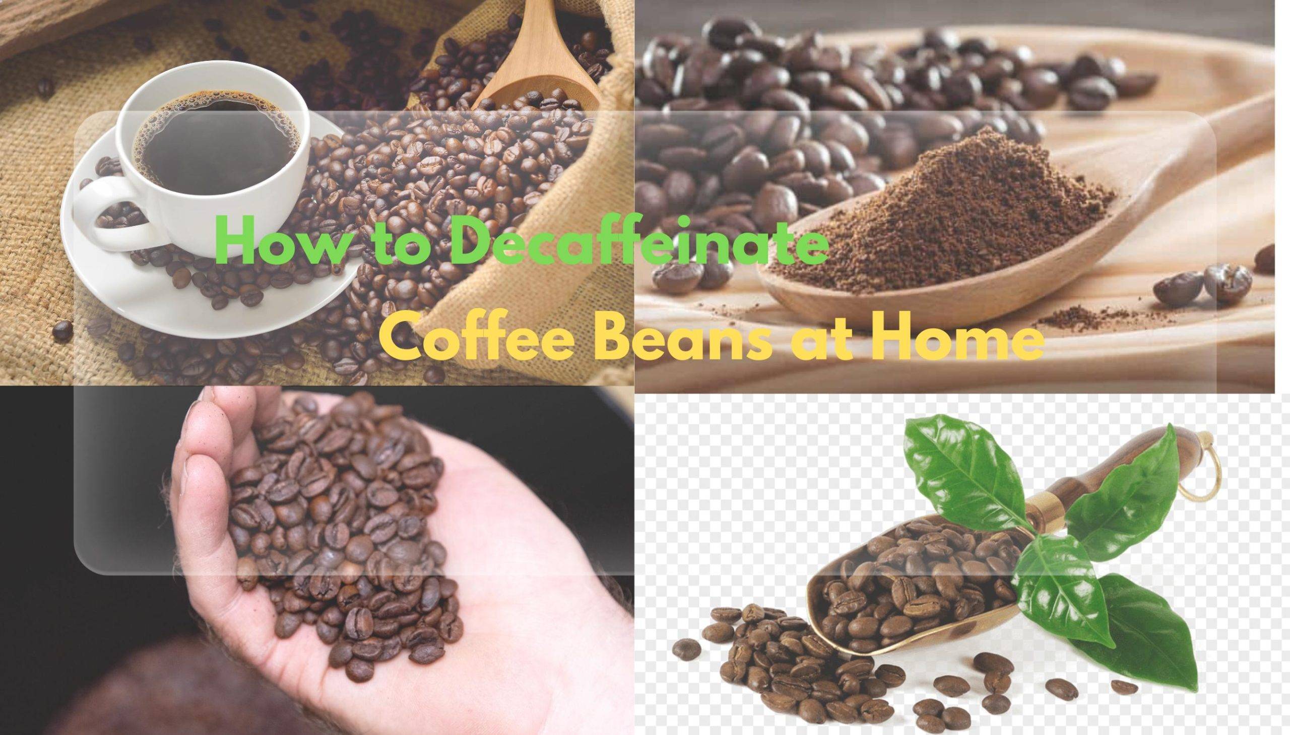 How to Decaffeinate Coffee Beans at Home