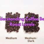 Understanding Coffee Bean Roast Levels