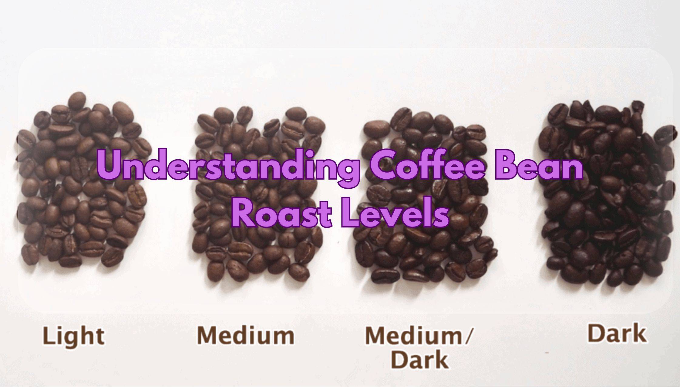 Understanding Coffee Bean Roast Levels