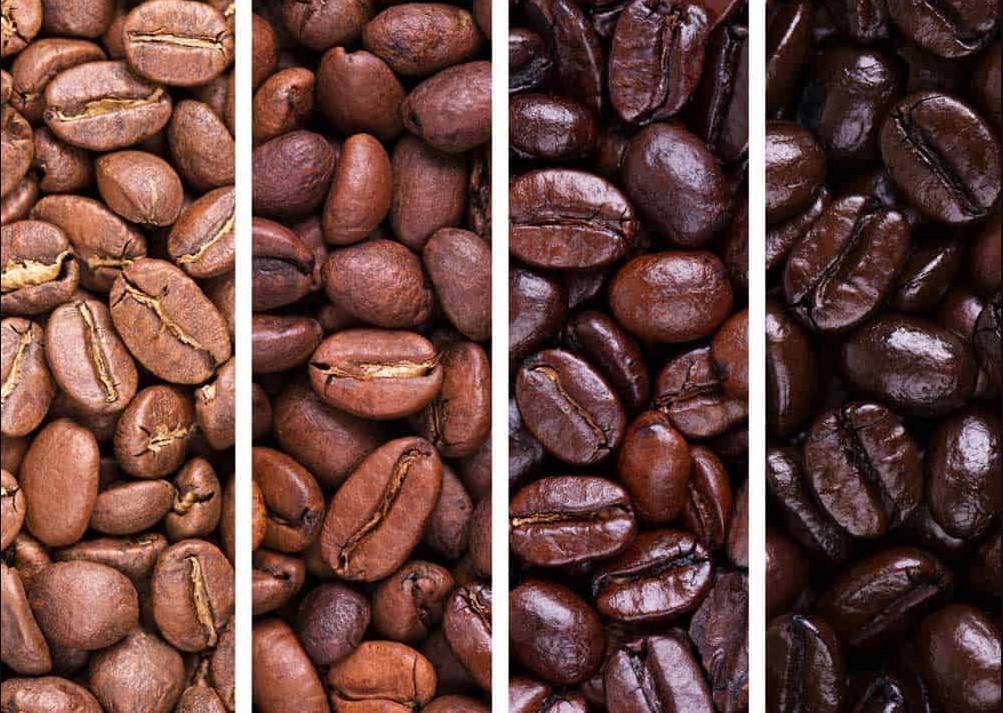 Coffee Beans Types and Differences